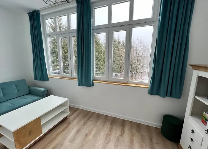 Apartament U Bratków *